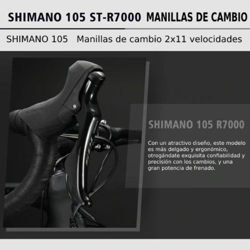 Bicicleta Ruta Sava Triumph 3.0 Carbono Grey 50-2