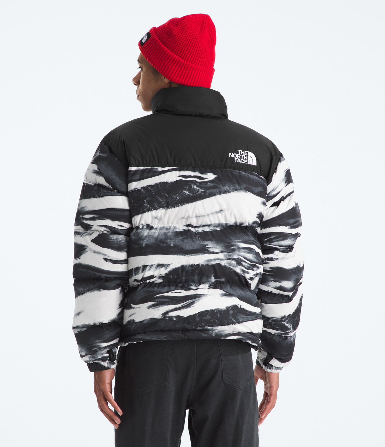 Chaqueta 1996 Retro Nuptse Jacket -Print Hombre Negro-0