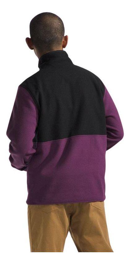 Polar The North Face Hombre Alpine Polartec 1/4 Zip Morado-1