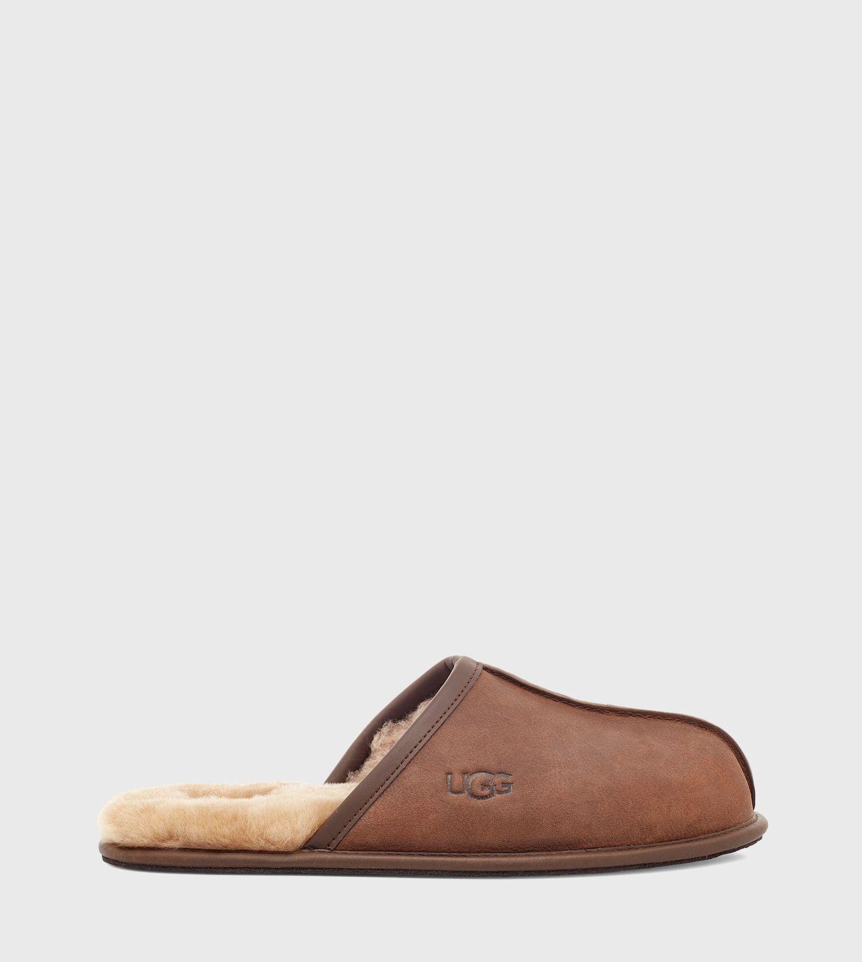 Pantufla UGG Hombre Scuff Marrón Café-0