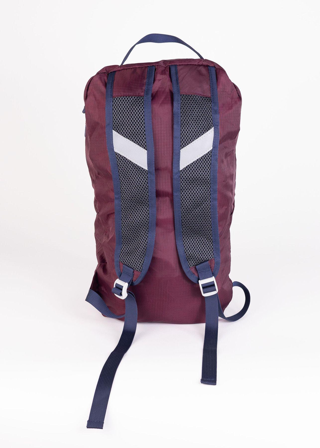 Mochila Andesgear Unisex Pochoco 20 Violeta-4