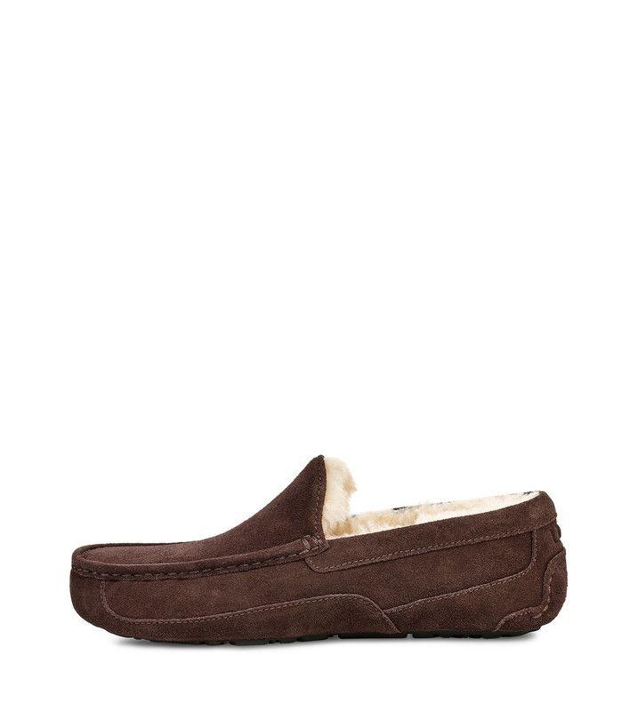 Pantuflas Ascot Café UGG-2