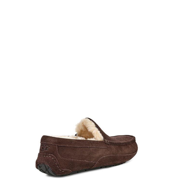 Pantuflas Ascot Café UGG-3