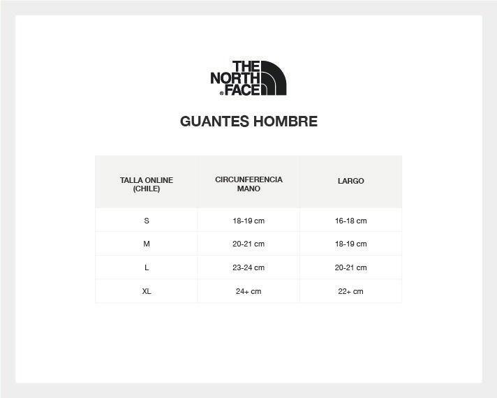 Guantes Hombre Sierra Etip Gris The North Face-1