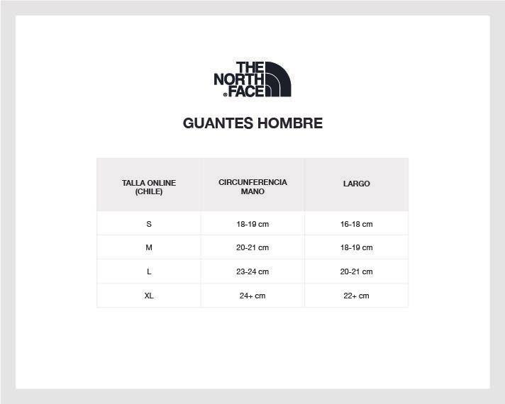 Guantes Hombre Sierra Etip Gris The North Face-2