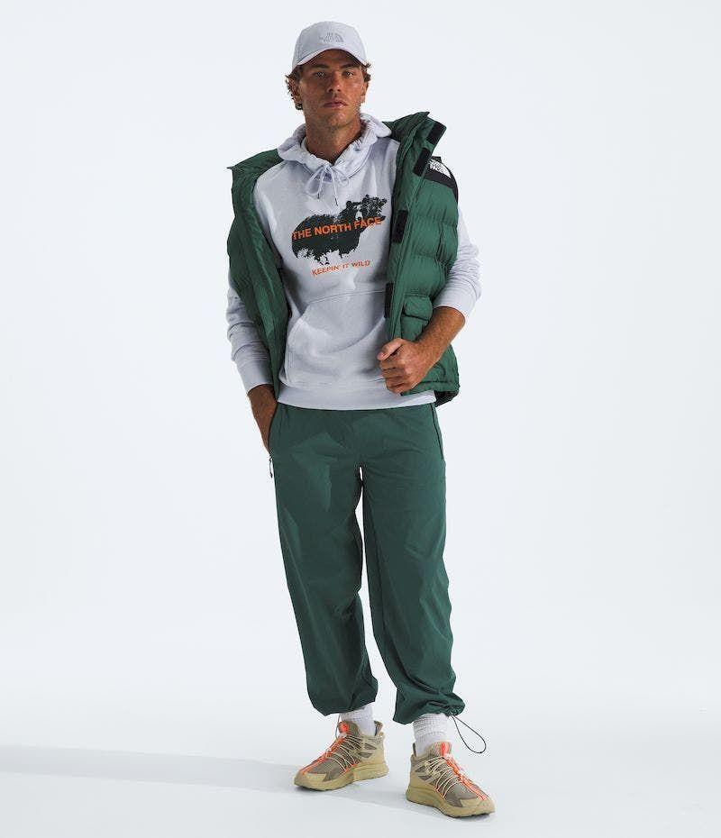 Poleron The North Face Hombre Animals We Love Bear Hoodie Gris-3