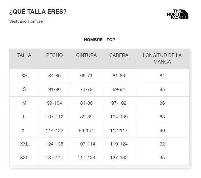 Polar The North Face Hombre Textured Cap Rock 1/2 Zip Gris-4