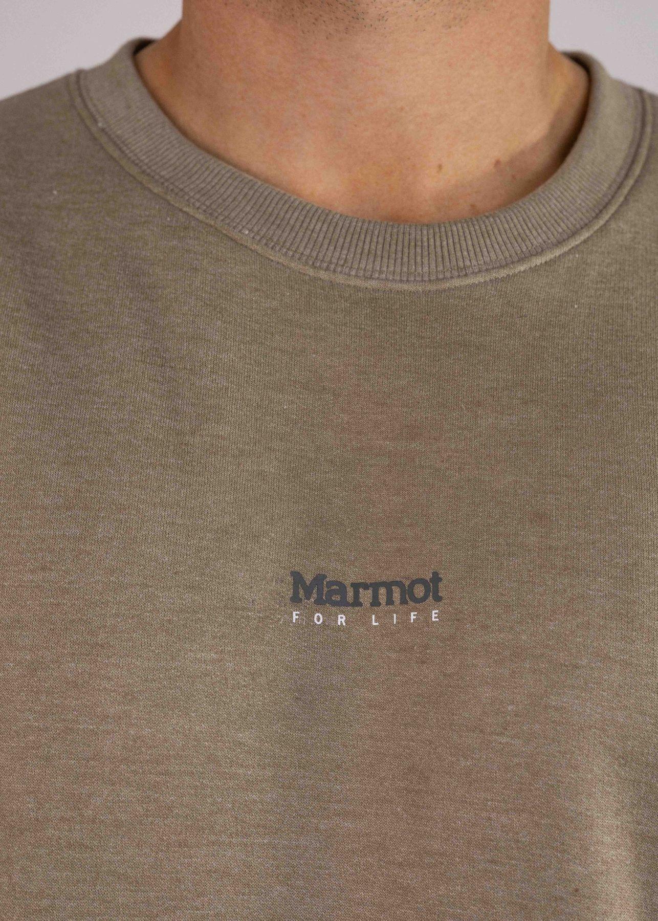 Polerón Marmot Hombre Mini Logo Crew Café-4