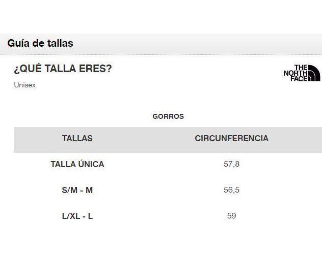 Gorro Salty Dog Unisex The North Face Gris-2