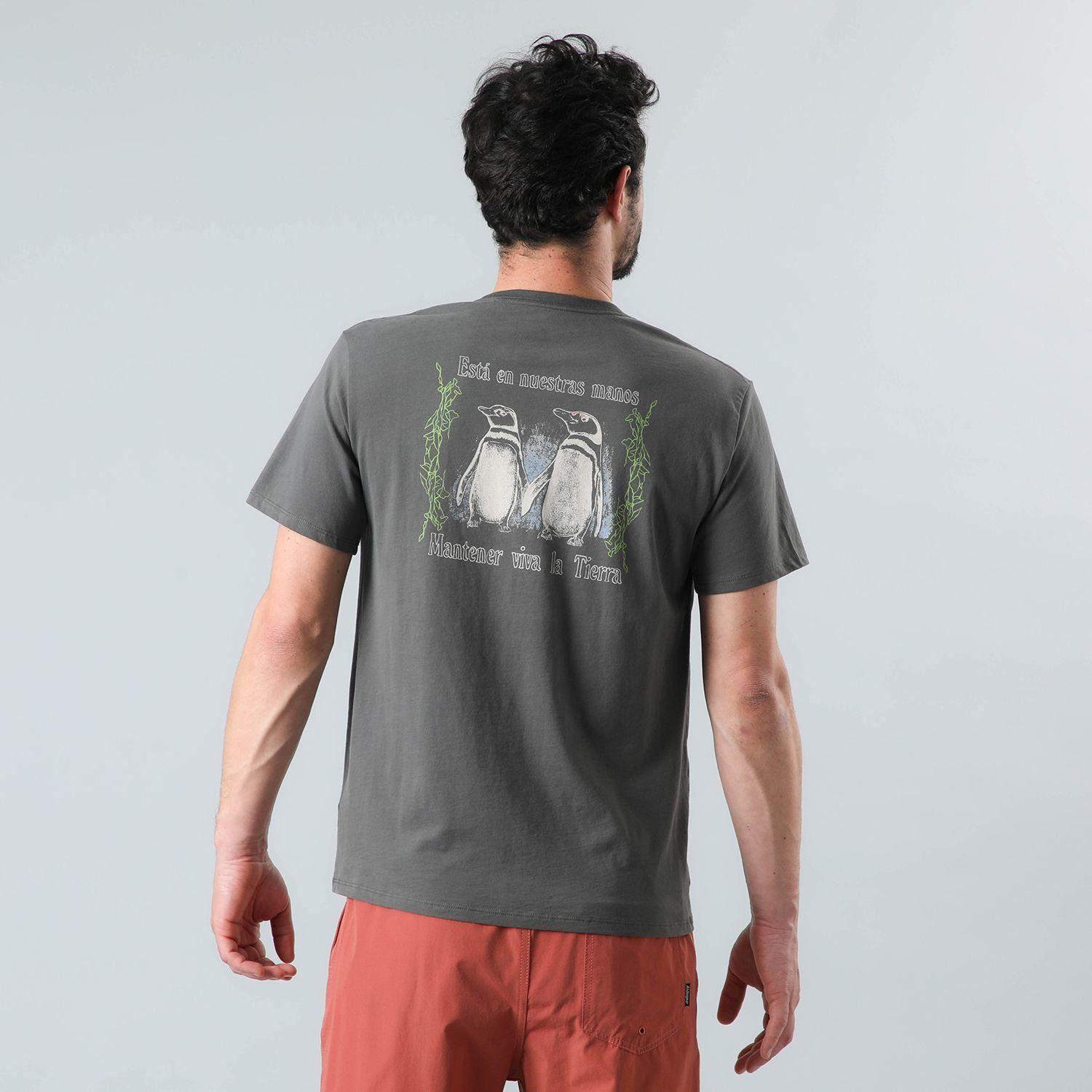 Polera Andesgear Hombre Orgánica Aclimatar M Gris-1