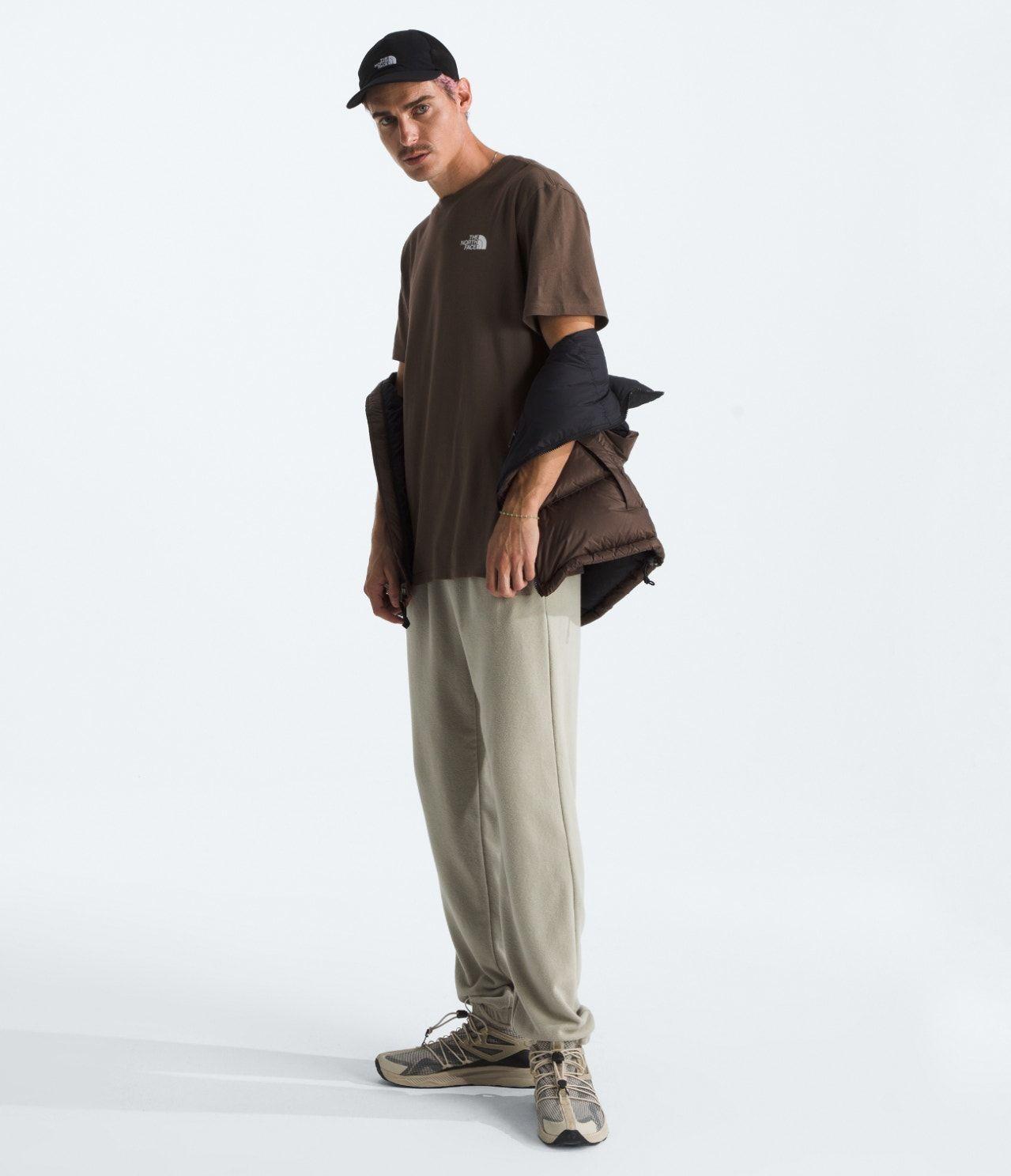 Polera The North Face Hombre S/S Box Nse Café-2
