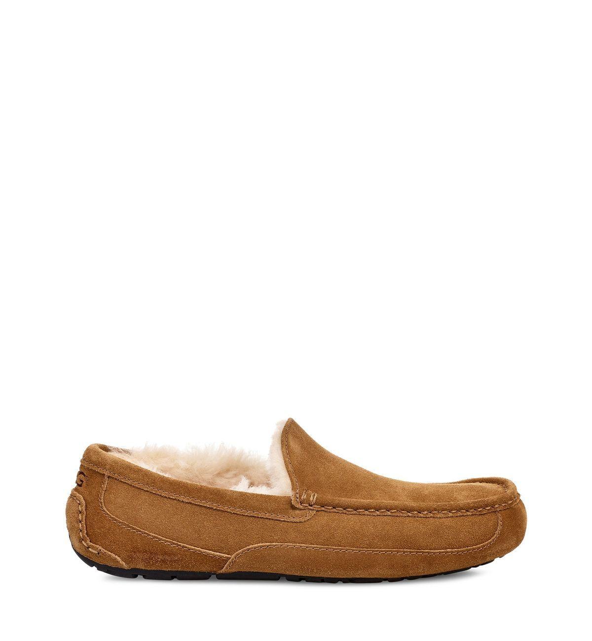 Pantuflas UGG Hombre Ascot UGCHE Café-0