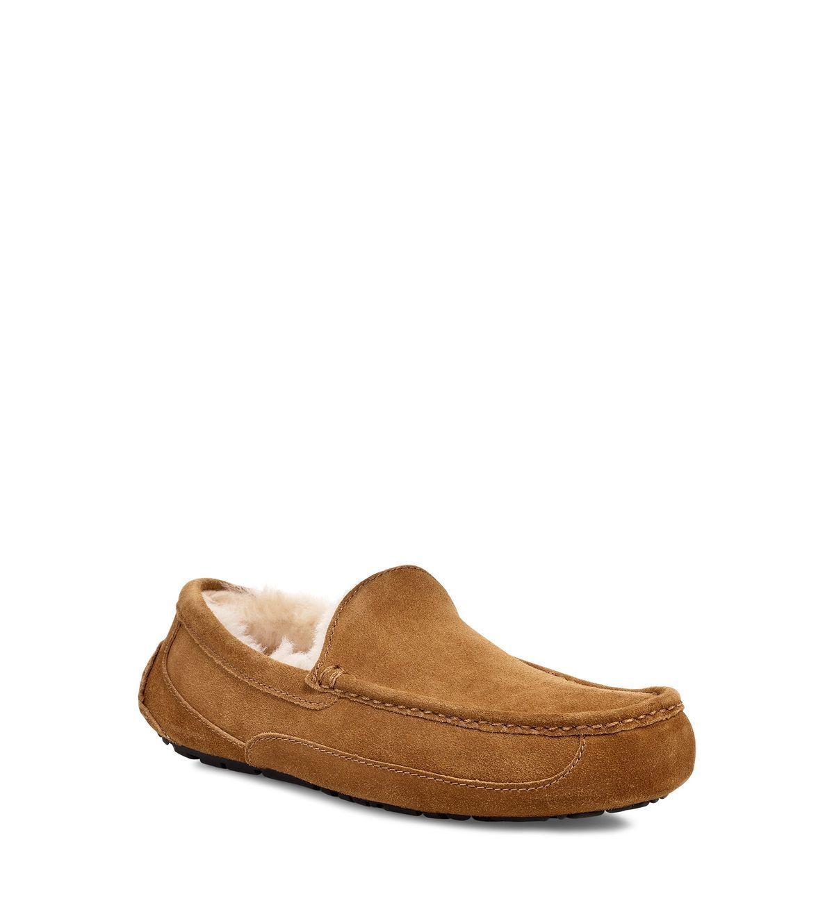Pantuflas UGG Hombre Ascot UGCHE Café-1