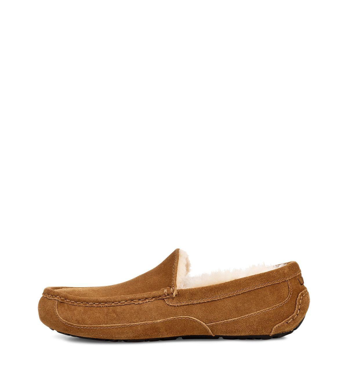 Pantuflas UGG Hombre Ascot UGCHE Café-2