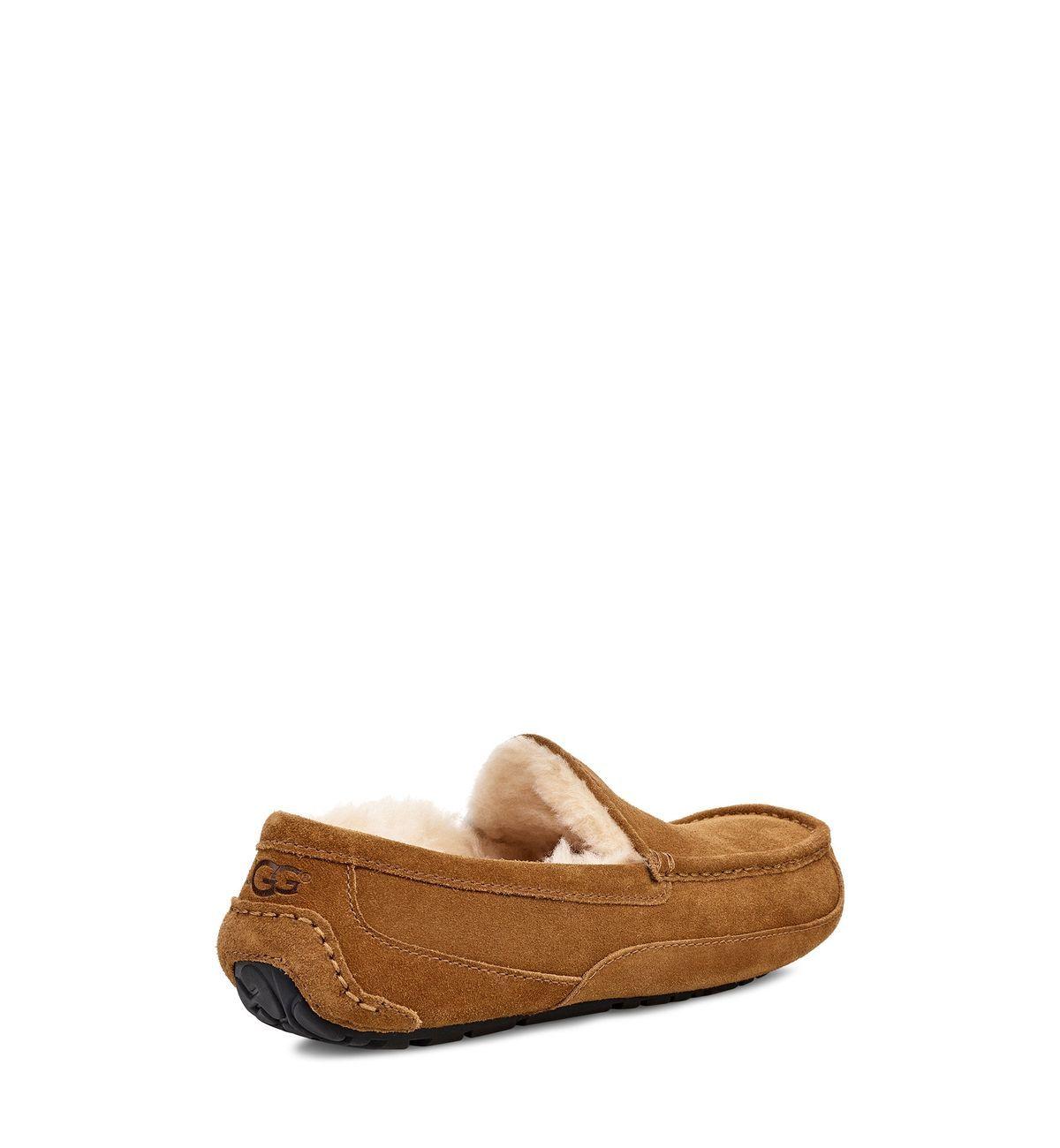 Pantuflas UGG Hombre Ascot UGCHE Café-3