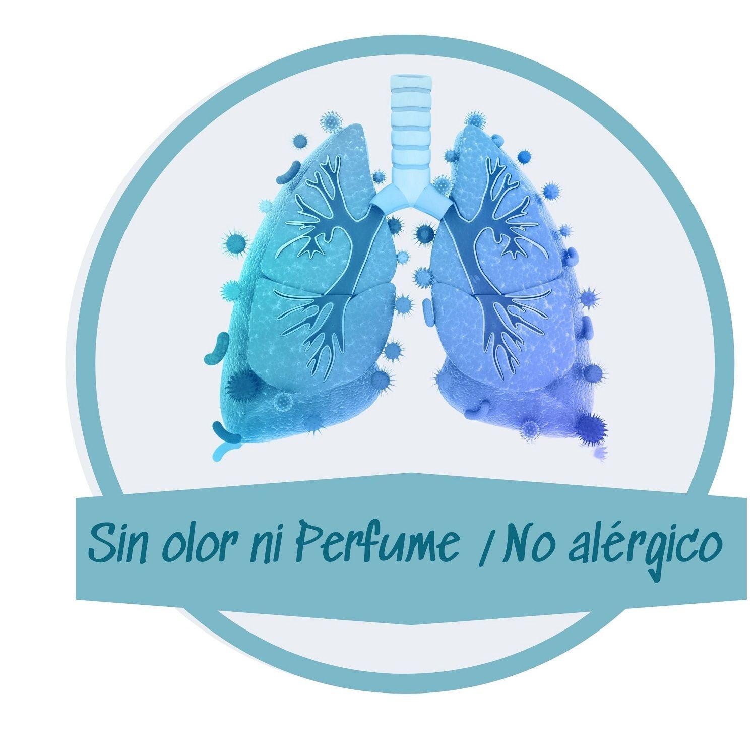 Set 3 Almohadas Altenburg Toque Acetinado -2