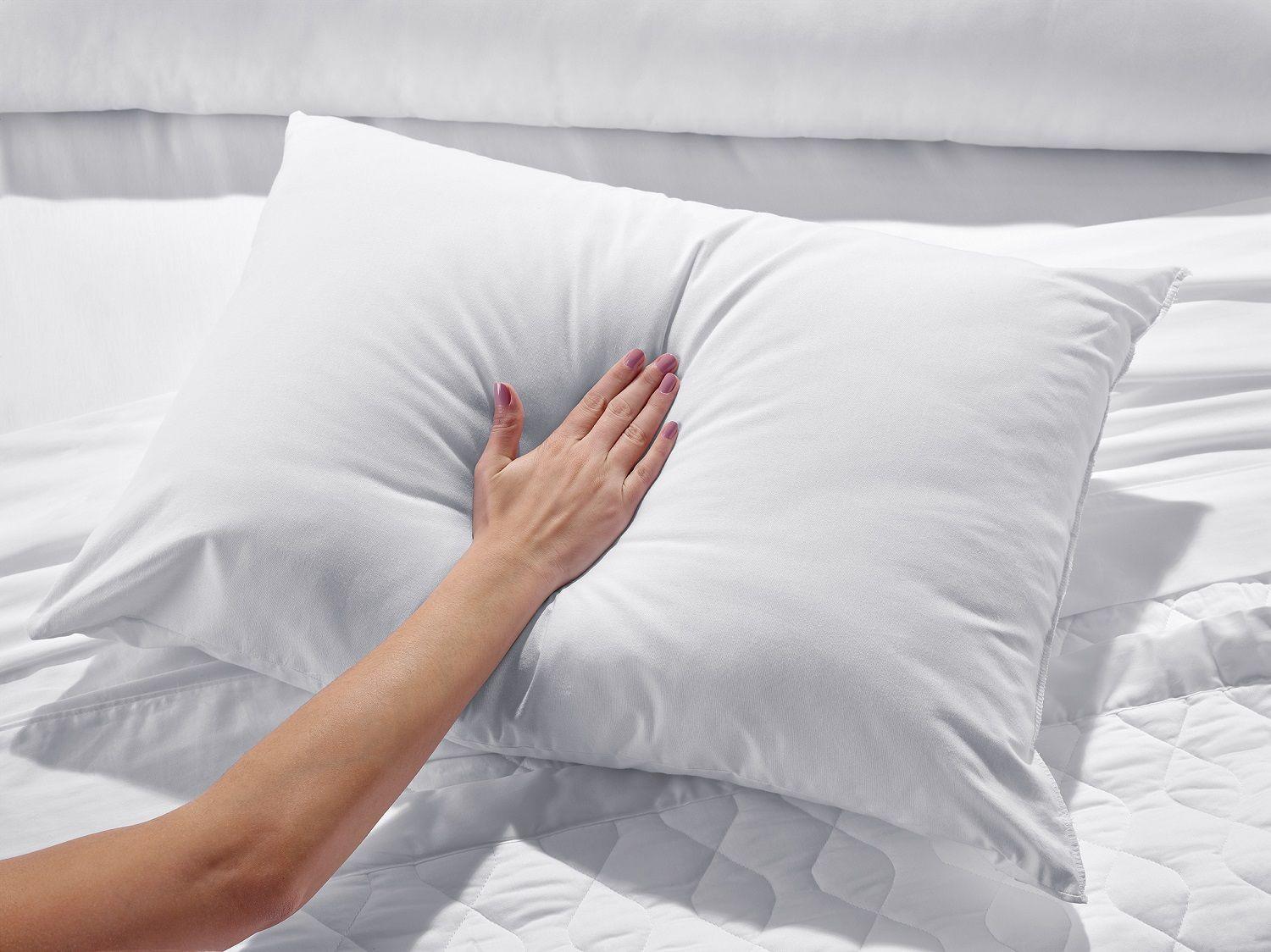 Almohada Altenburg Funda 100% Algodón 150 hilos (50cm x 70cm)-1