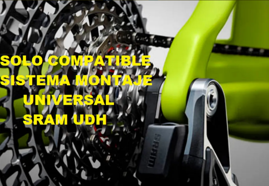 TRANSMISIÓN SRAM EAGLE XX T-TYPE AXS XD 10-52T DUB WIDE 32T BIELAS 165MM-5