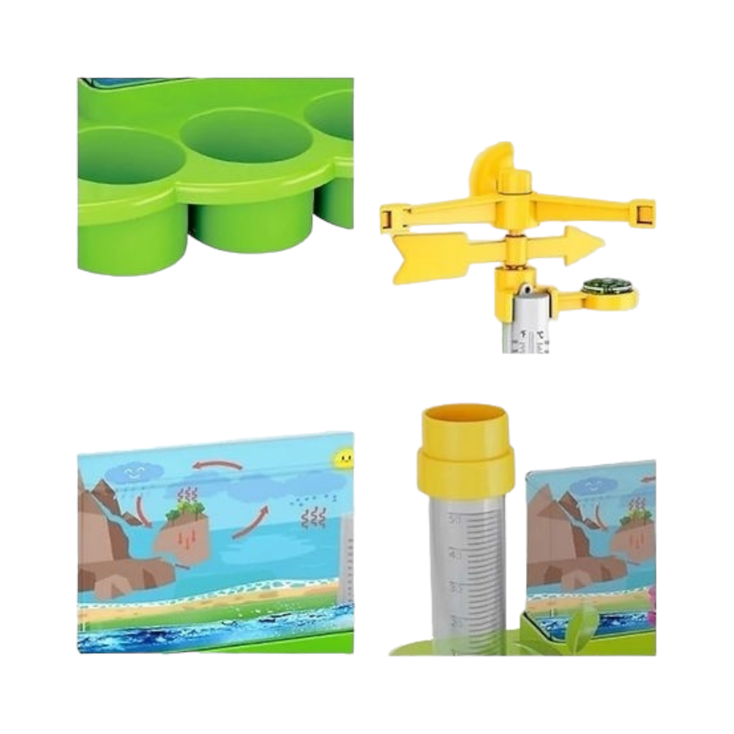 Juego Semilla Germinar Brota y Crece Didactico-2