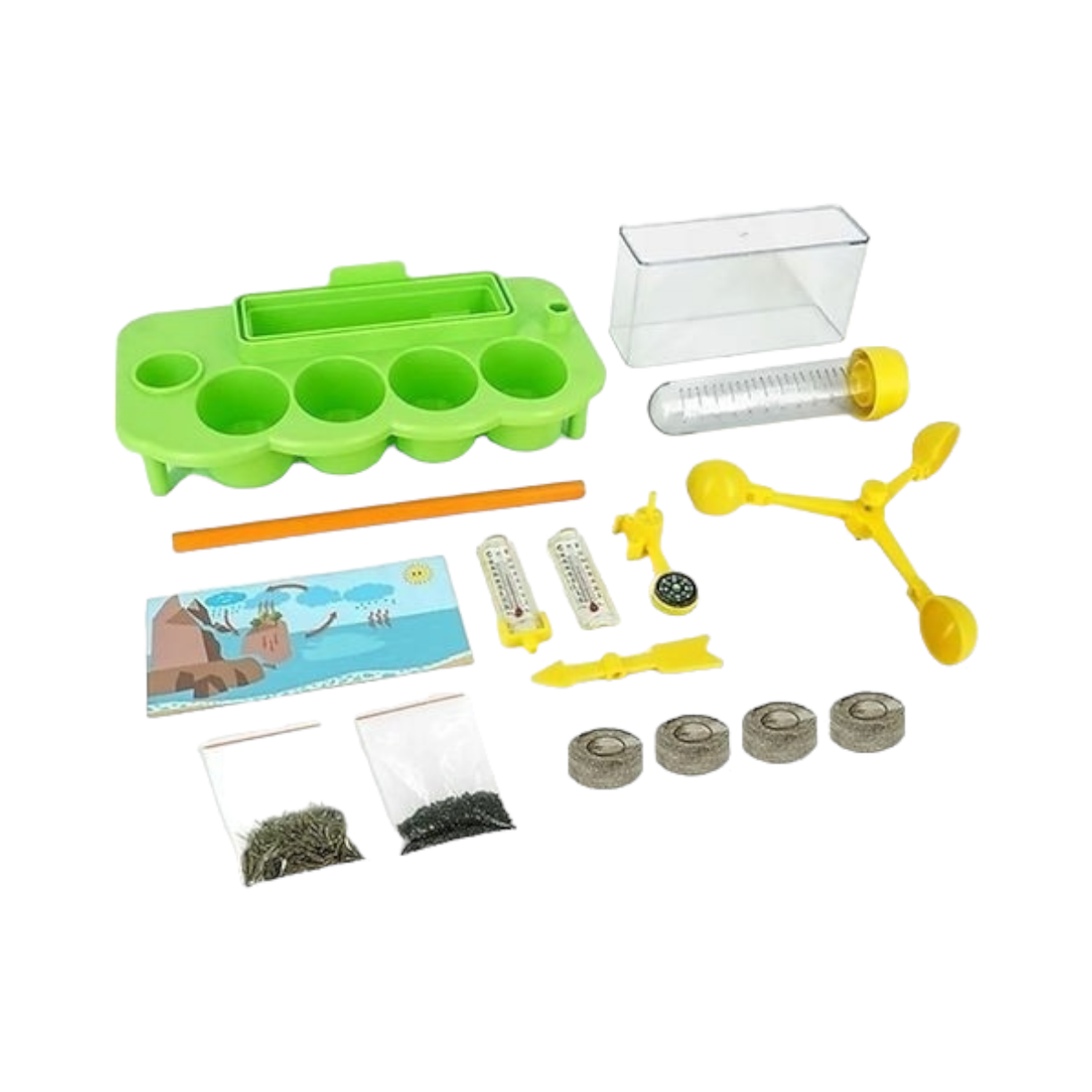 Juego Semilla Germinar Brota y Crece Didactico-4