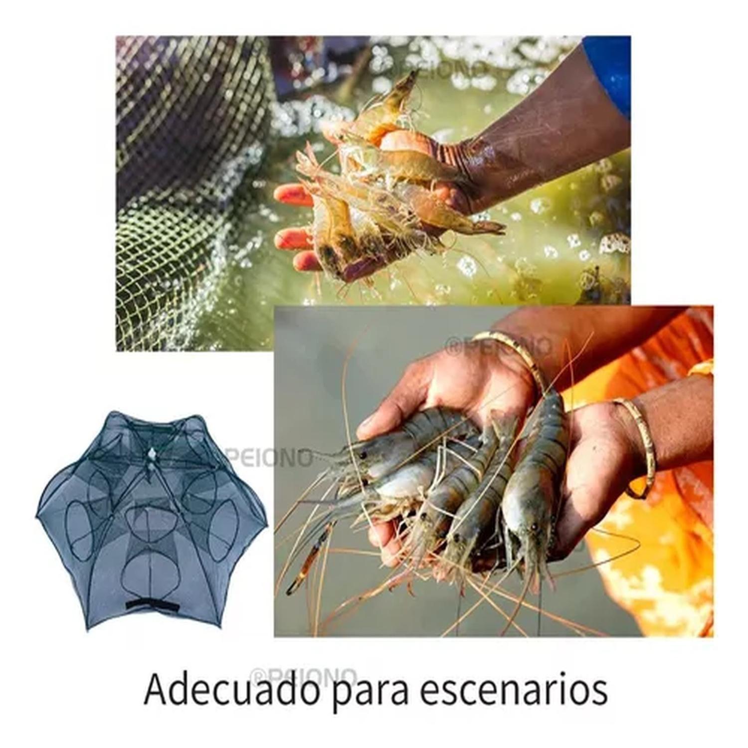 Pesca Red Trampa Plegable Cangrejos Peces 12 Agujeros-2