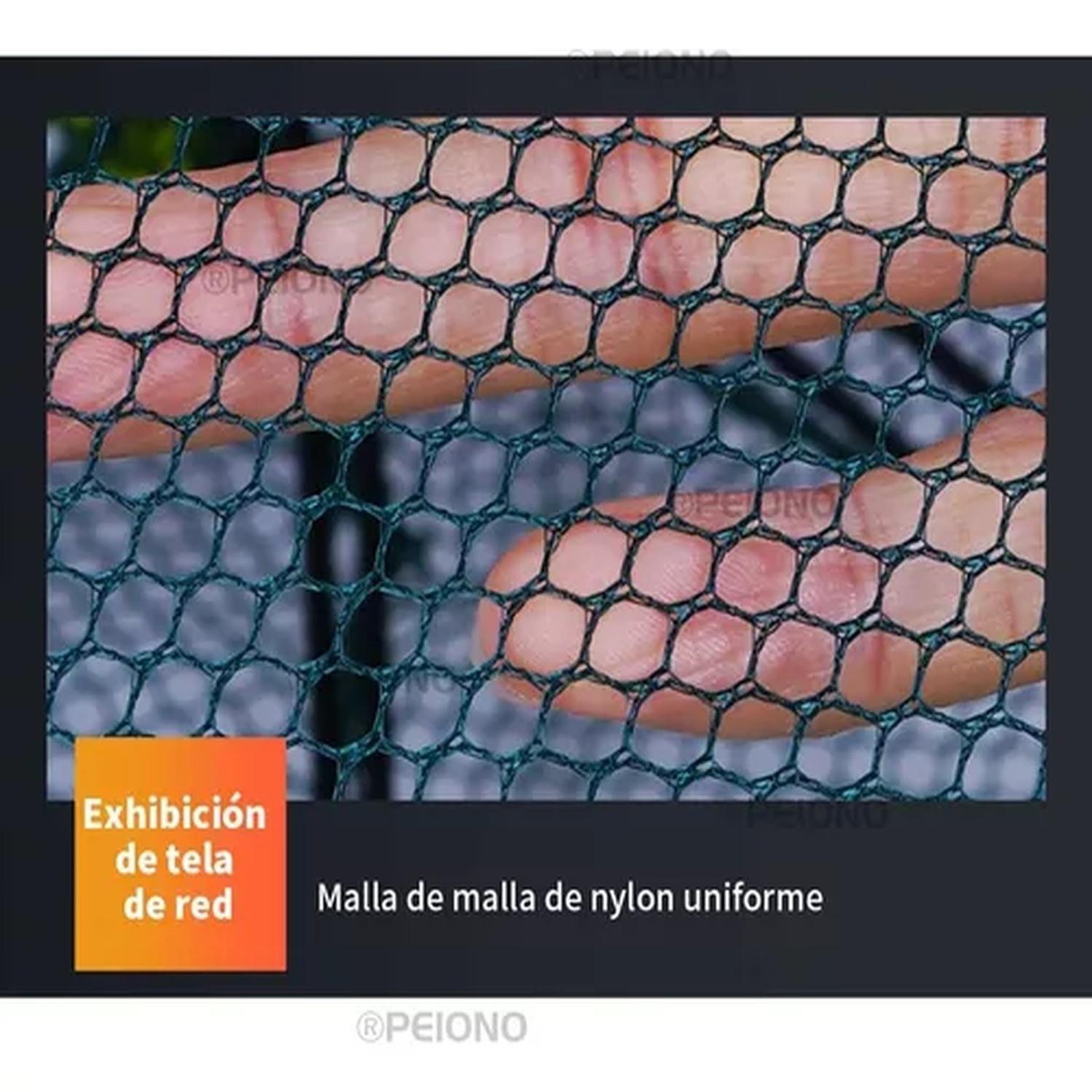 Pesca Red Trampa Plegable Cangrejos Peces 12 Agujeros-4
