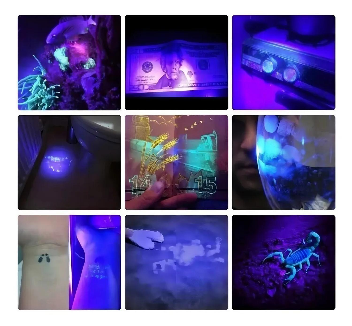 Linterna Bolsillo Ultravioleta Luz Uv-4