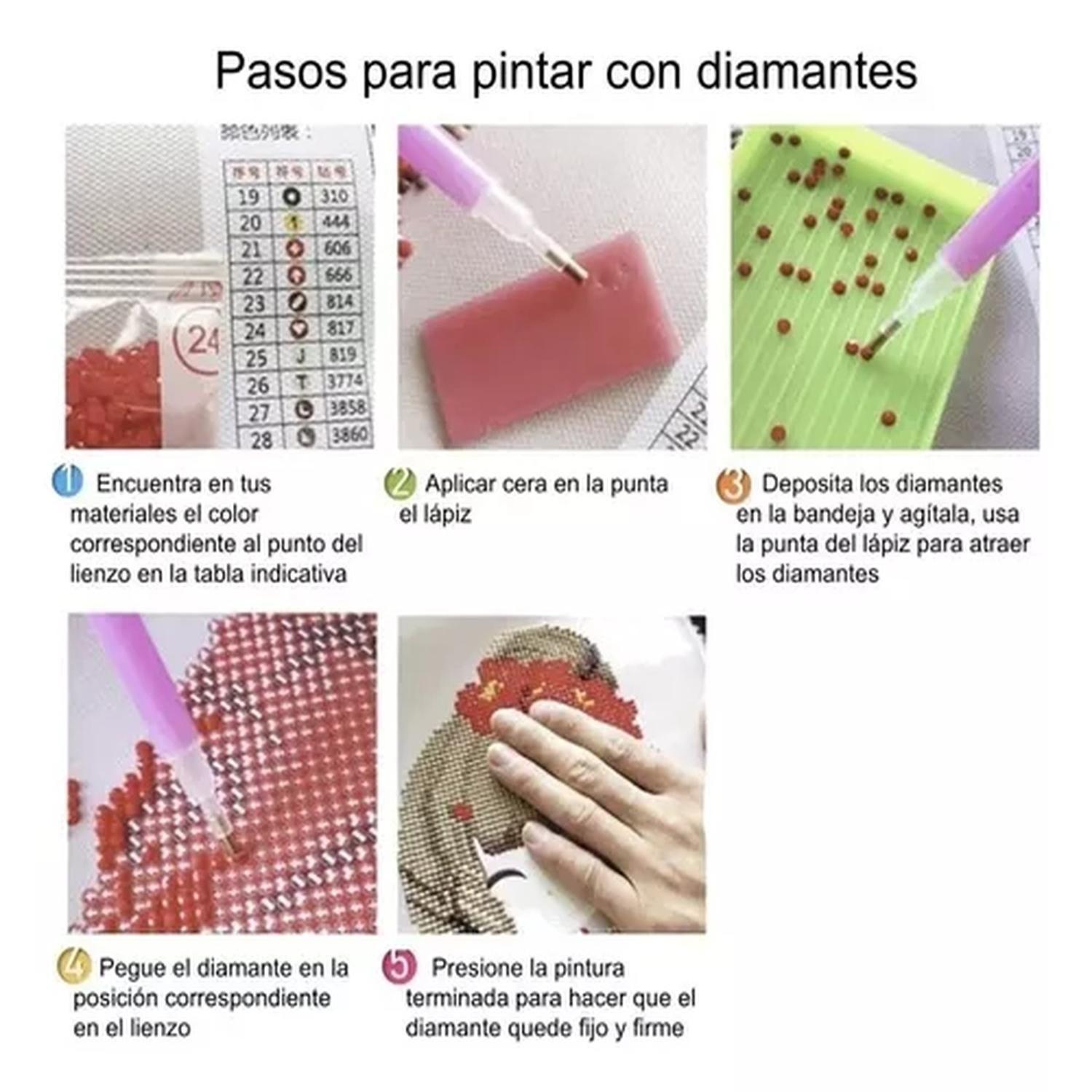 Bordado Pintura Diamante - Mandala 30x30-3
