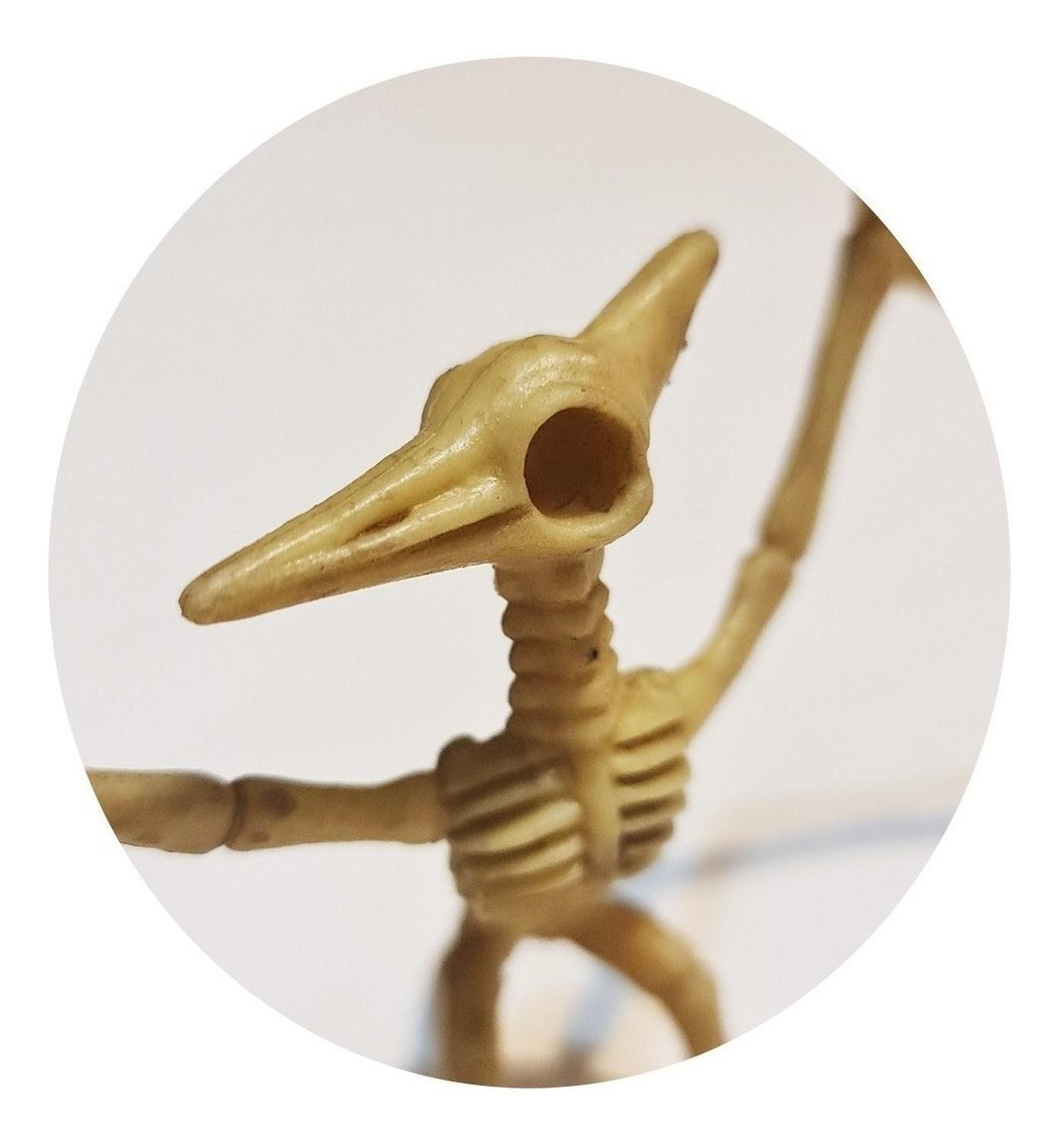 Dinosaurios Huesos Pterodactilos Fósil Realista Inigualable-2