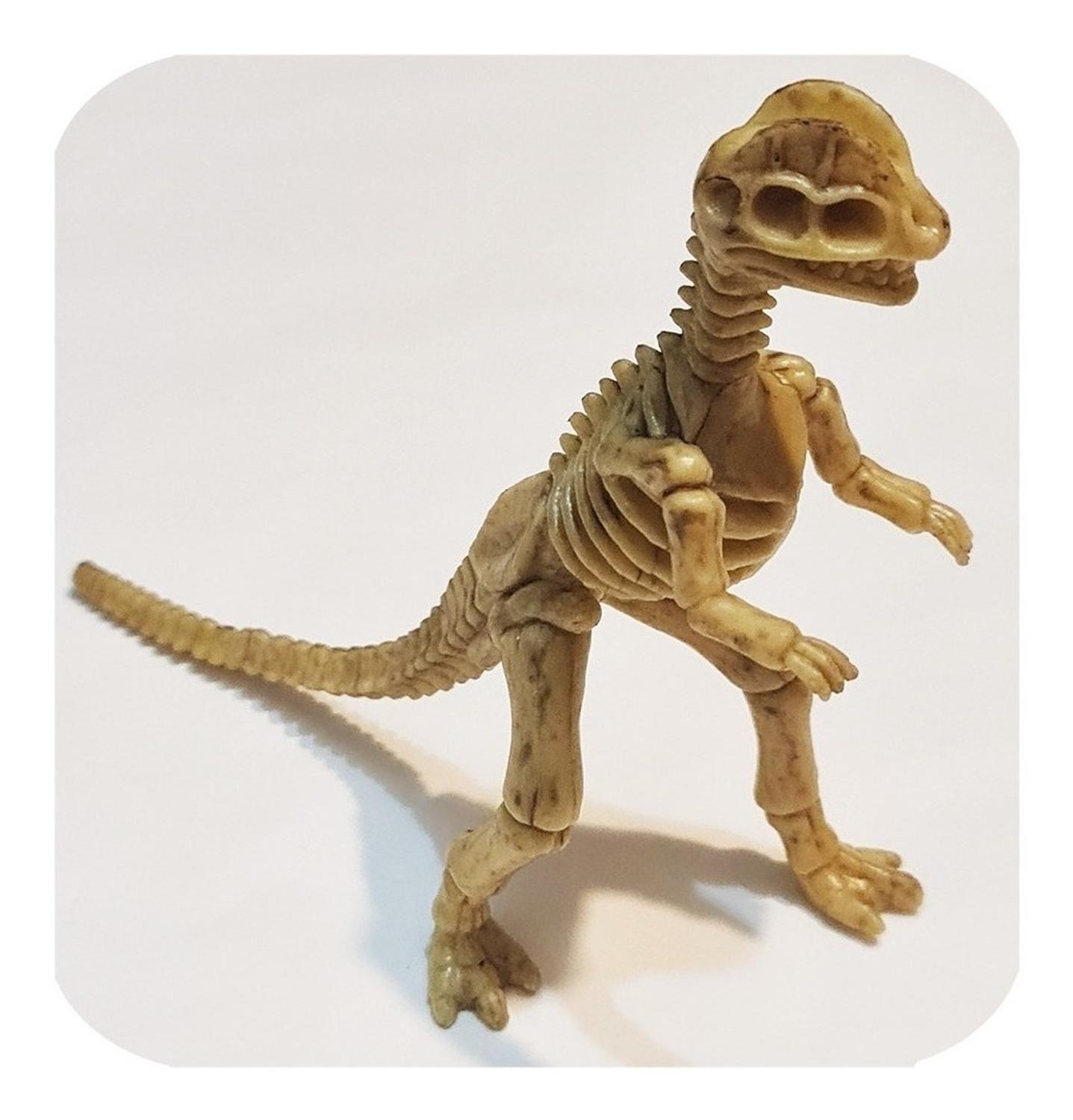 Dinosaurios Huesos Corythosaurus Fósil Realista Inigualable-2