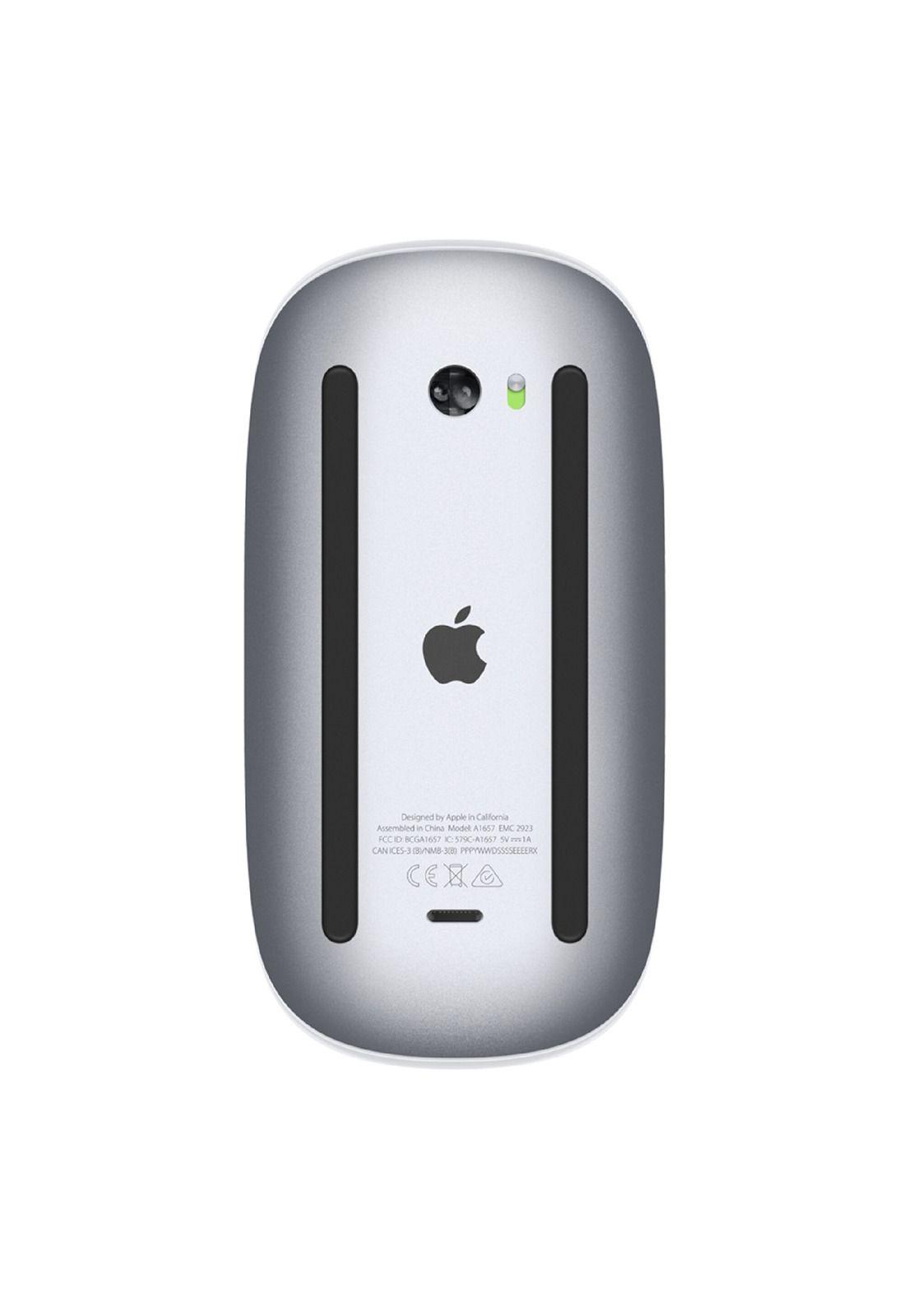 Apple Magic Mouse-2