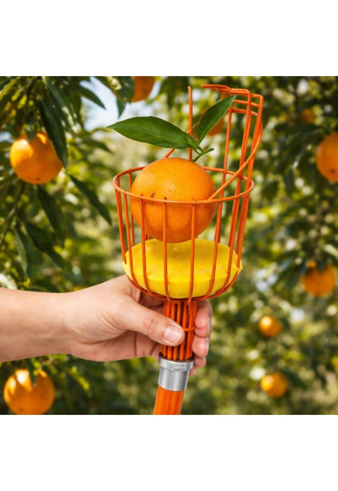 Recolector De Frutas Truper Con Cojin Frut-3