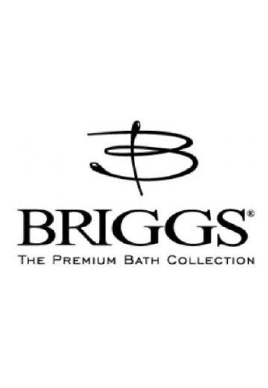 Ducha Bidet Arabe Mango Cromado Briggs-fanaloza-2