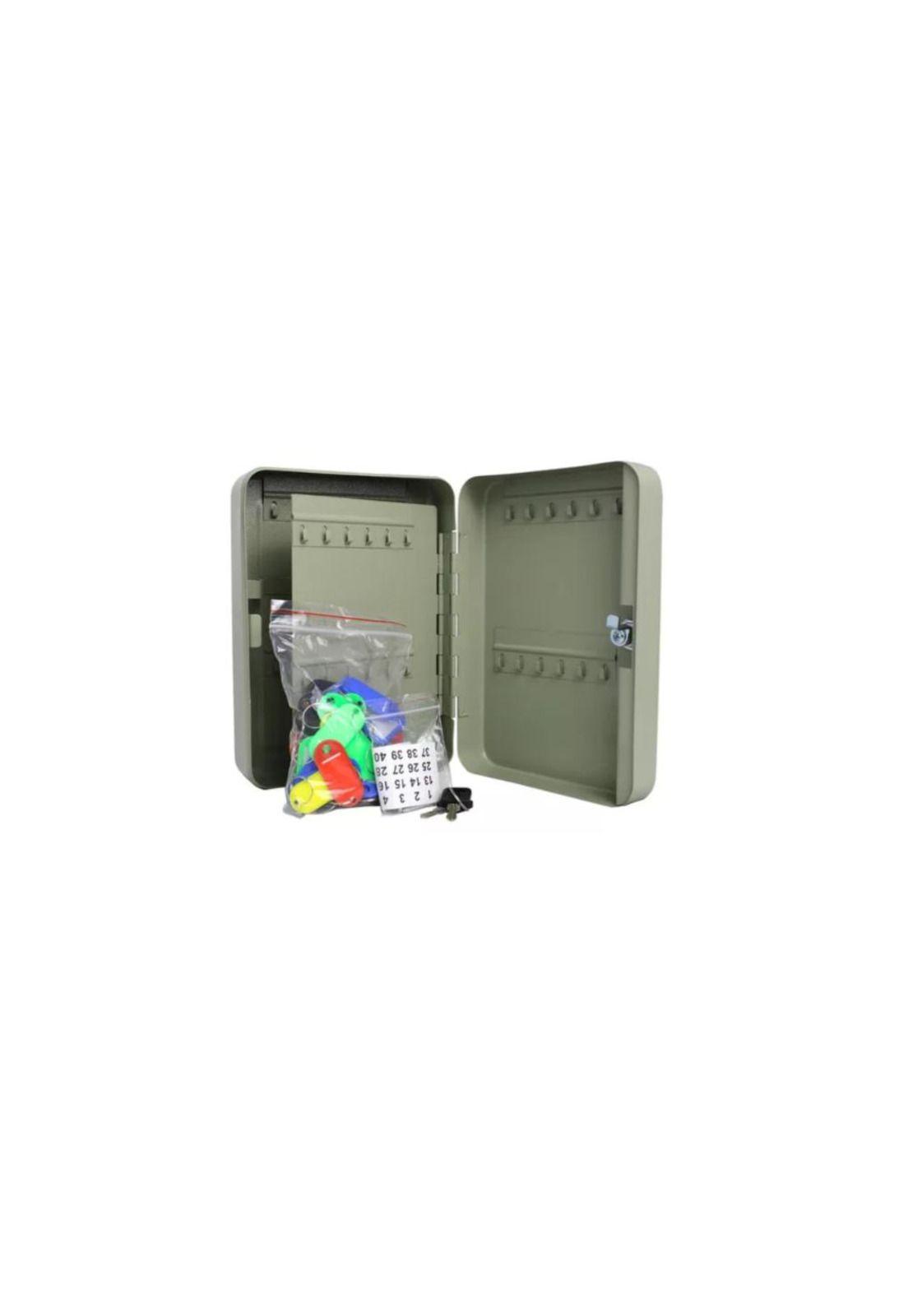 Caja de Seguridad  Metálica para Llaves 40colgadores 250x180x75mm Alemana-2