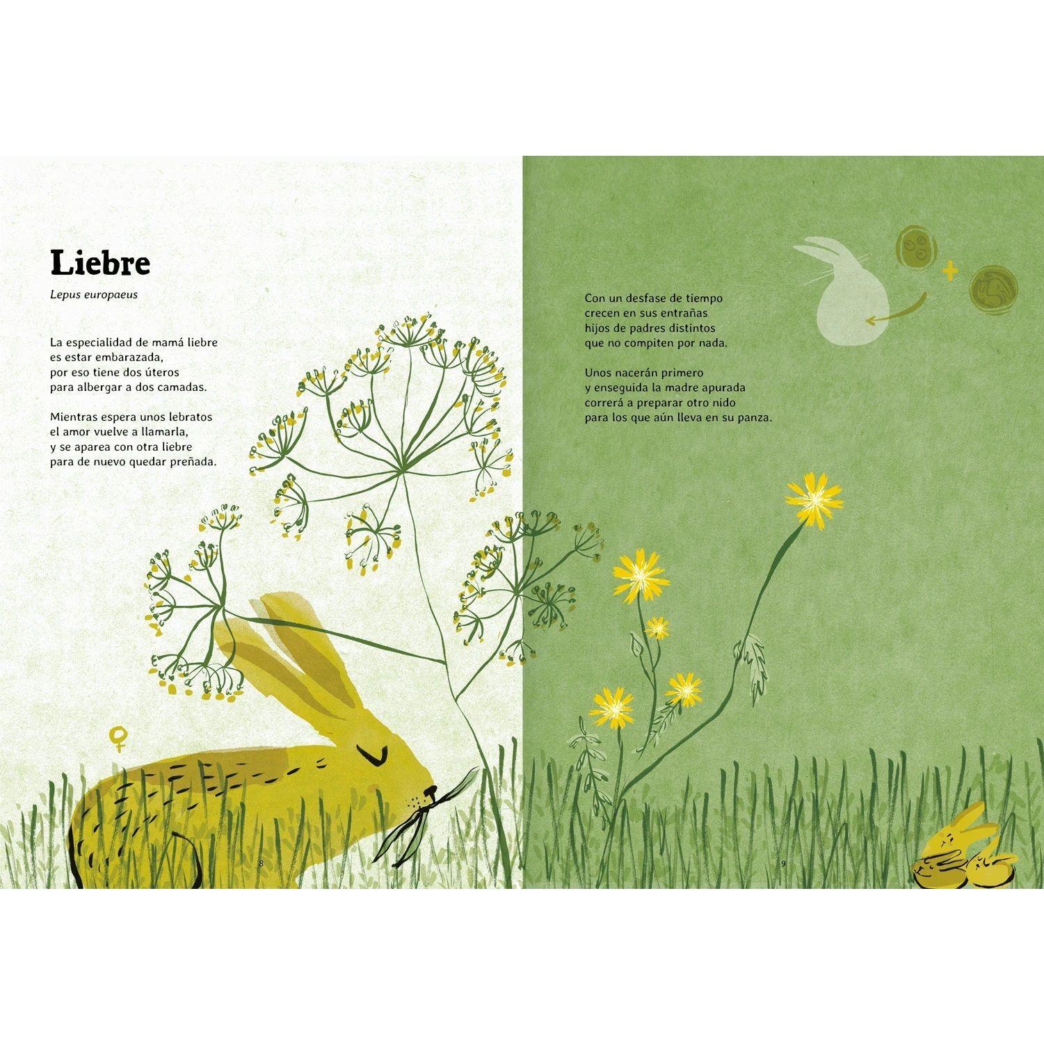 Libro Nacer Amanuta-1