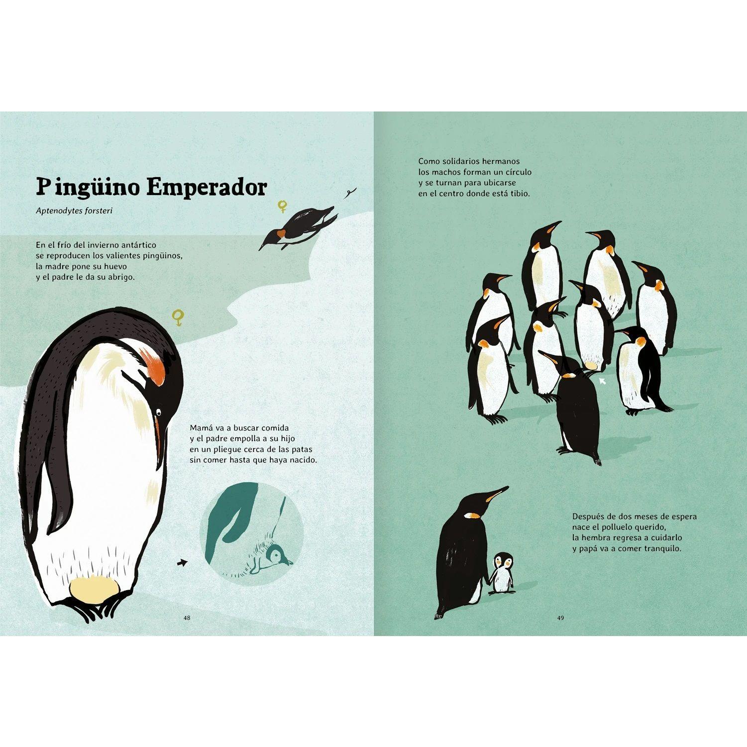 Libro Nacer Amanuta-6