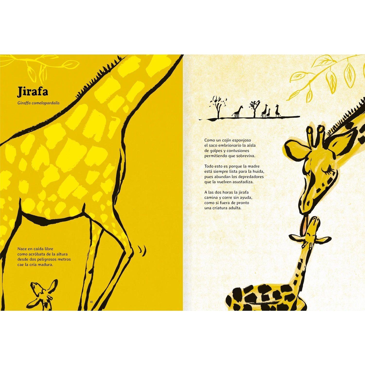 Libro Nacer Amanuta-3