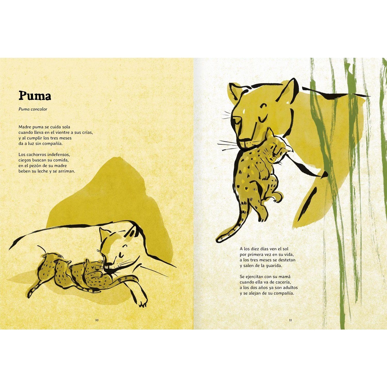 Libro Nacer Amanuta-2