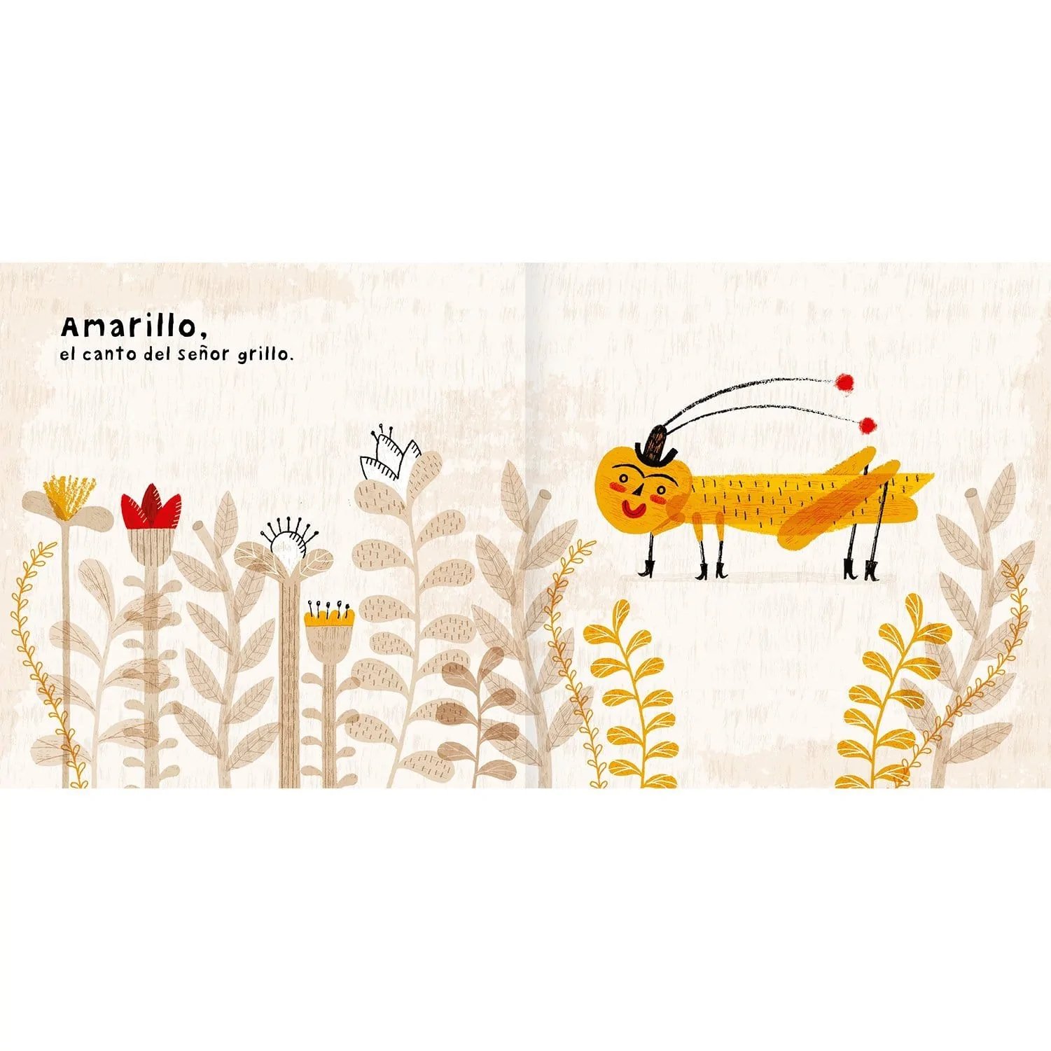 Cuento Colores Amanuta-4