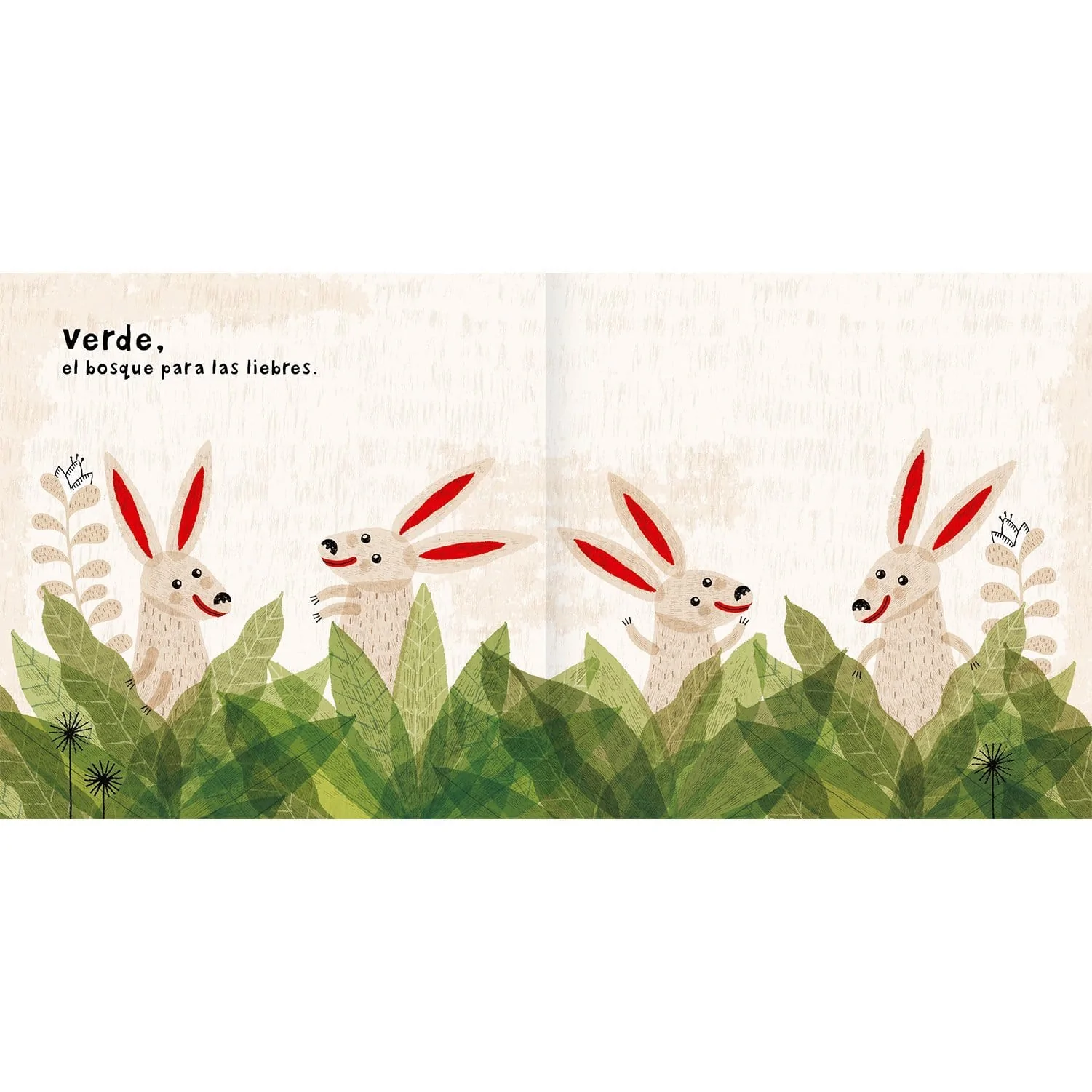 Cuento Colores Amanuta-3