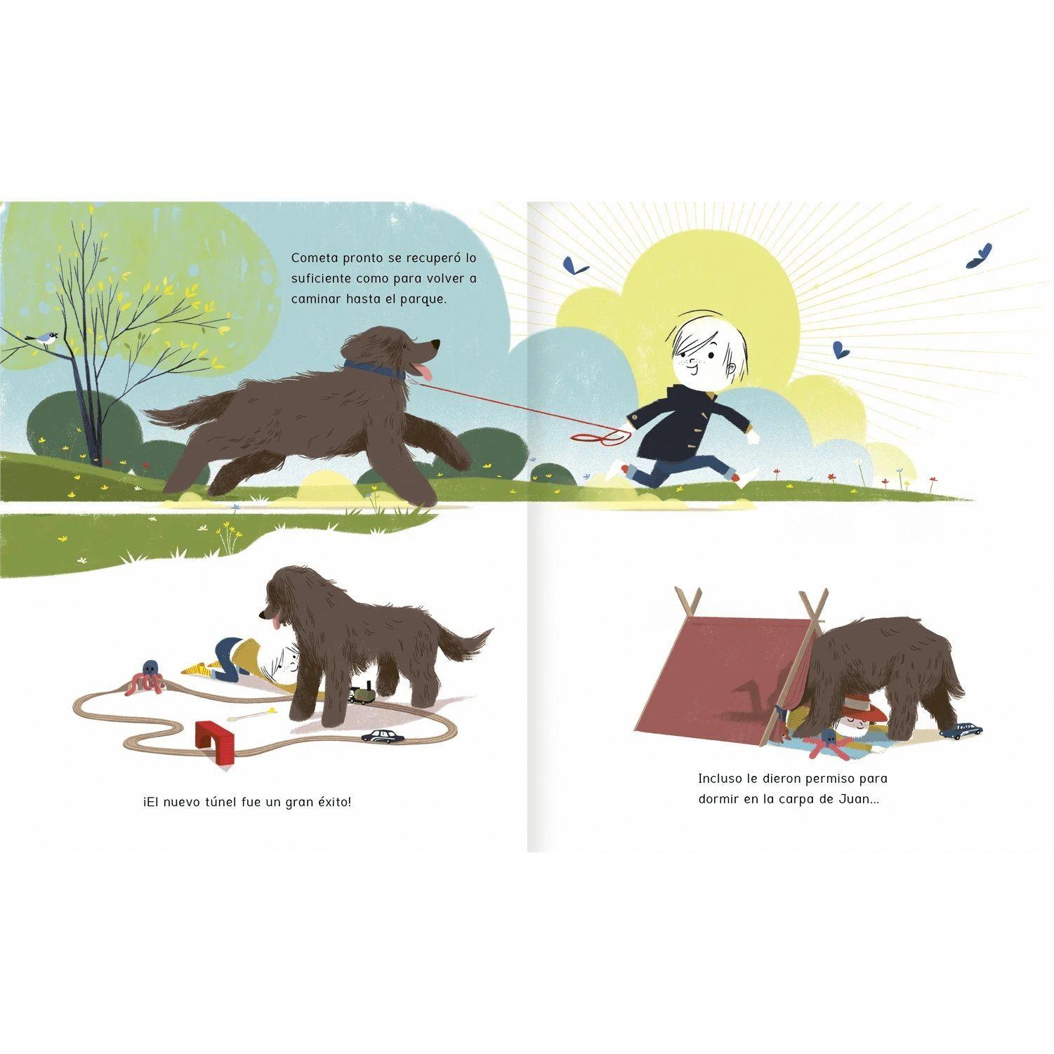 Libro Anhelos Amanuta-6