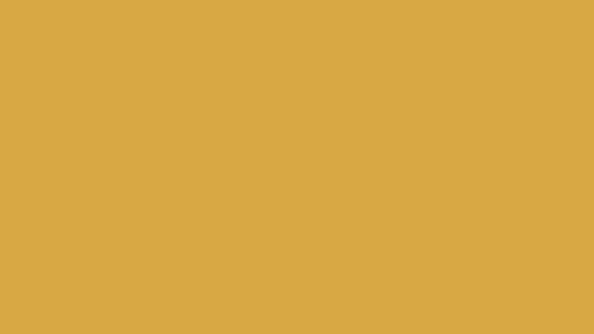 Latex Super Extra GALON Gamma Color AMARILLO REY-1