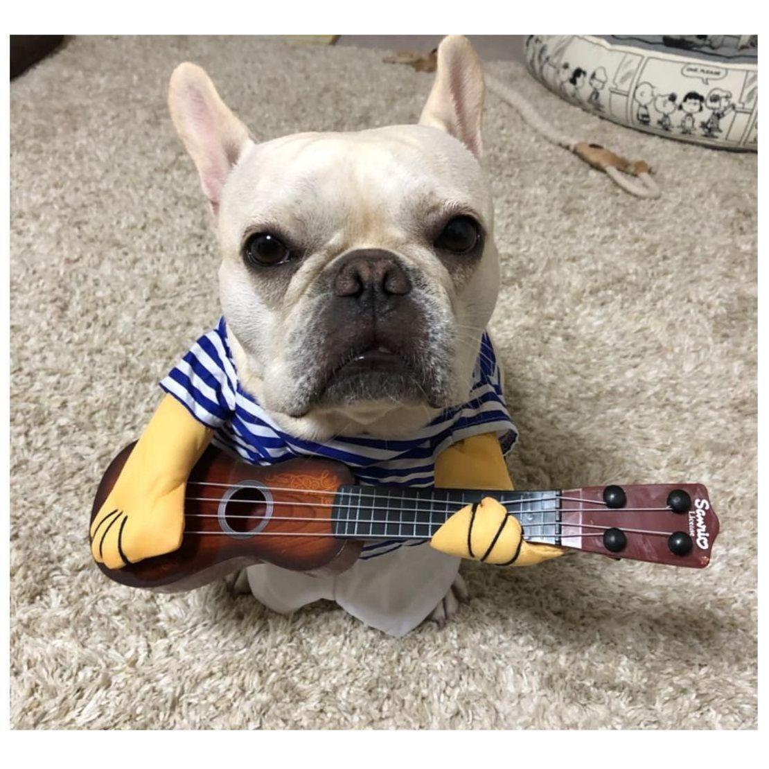 Disfraz De Guitarrista Para Mascotas Halloween-0