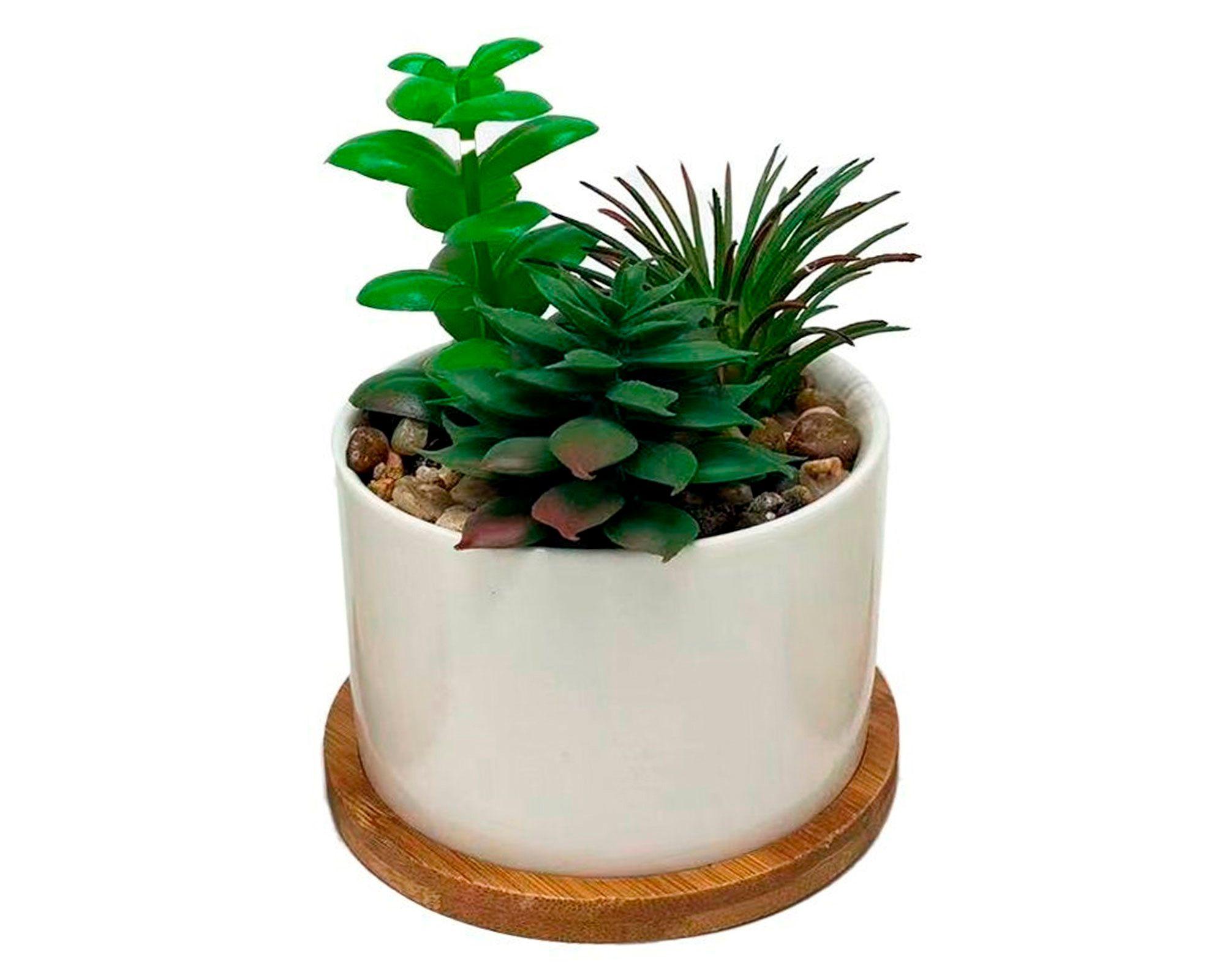 Suculenta artificial base madera jade-0