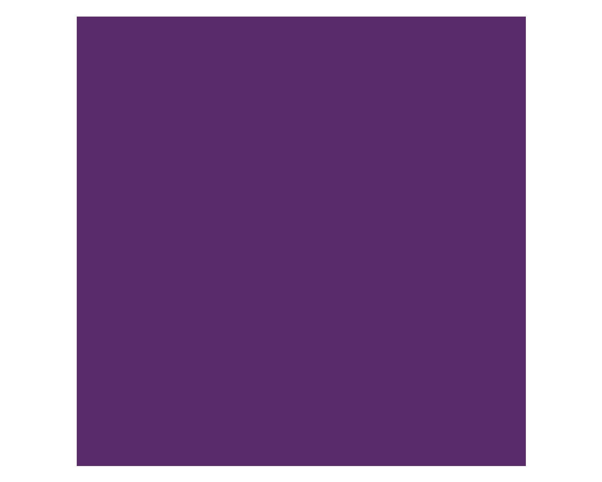 Pintura spray Secado rápido morado brillante Marson-1