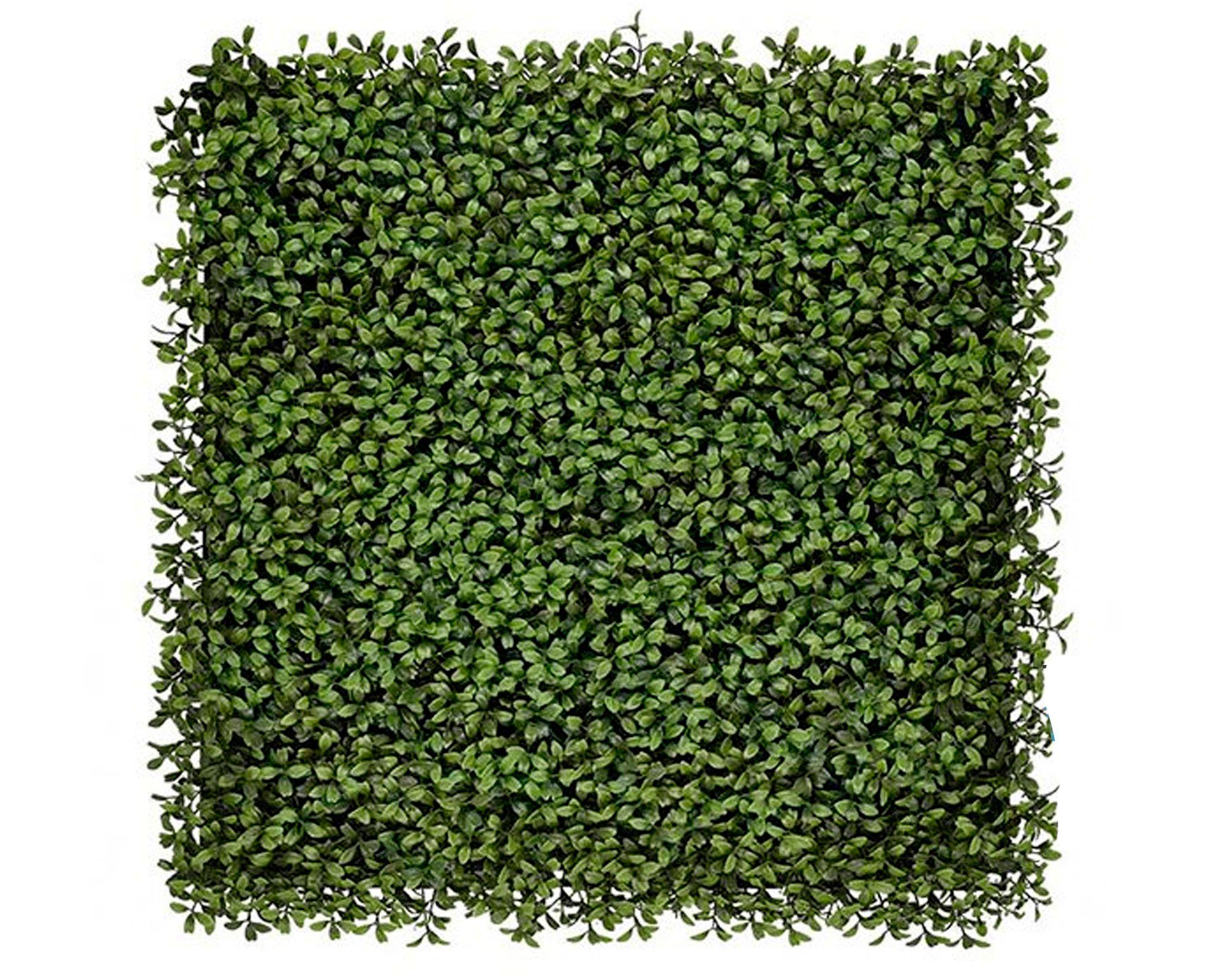 Jardín vertical artificial 50x50 cm Arbusto-0