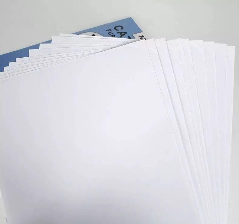 Set 10 Hojas Protector Muebles Cinta Antiarañazos Gato-3