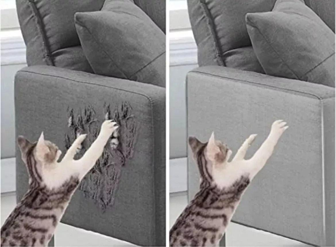 Set 10 Hojas Protector Muebles Cinta Antiarañazos Gato-4