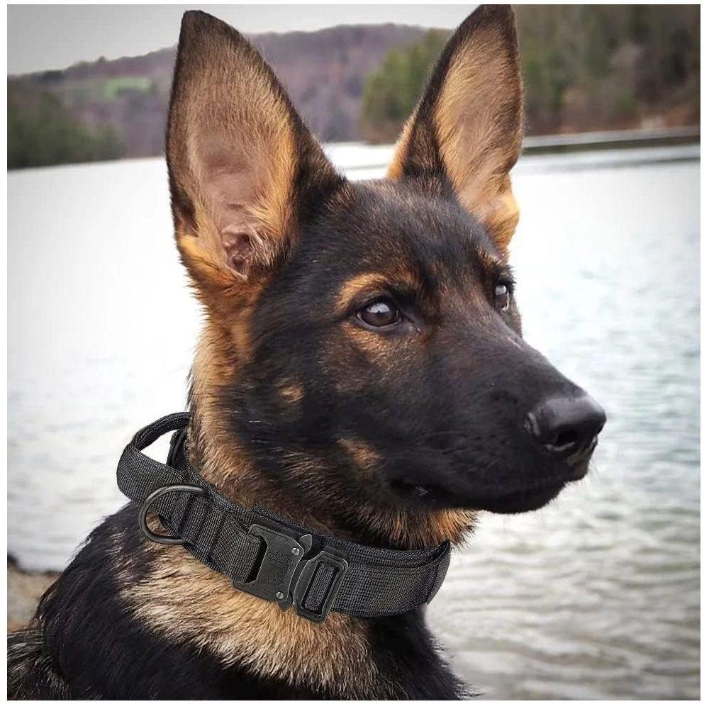 Collar ajustable para mascotas Negro XL perros-2