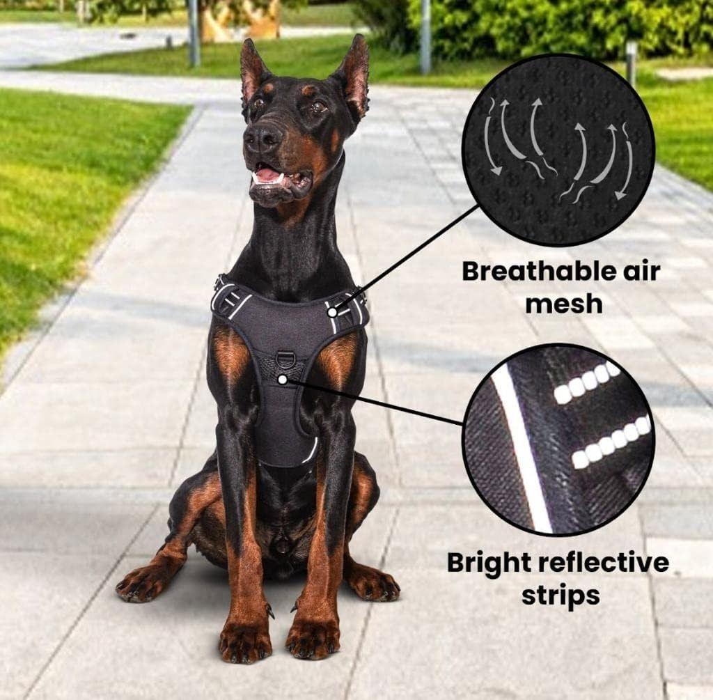 Arnés Para Perros Pequeños Talla S Con tiras reflectantes-2